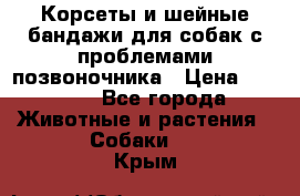 Корсеты и шейные бандажи для собак с проблемами позвоночника › Цена ­ 2 500 - Все города Животные и растения » Собаки   . Крым